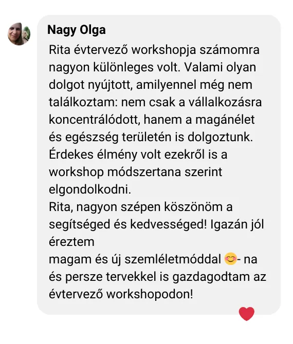 Nagy Olga DYF WS visszajelzés